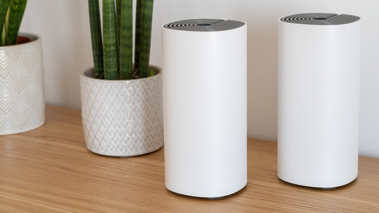 Two Wi-Fi mesh routers