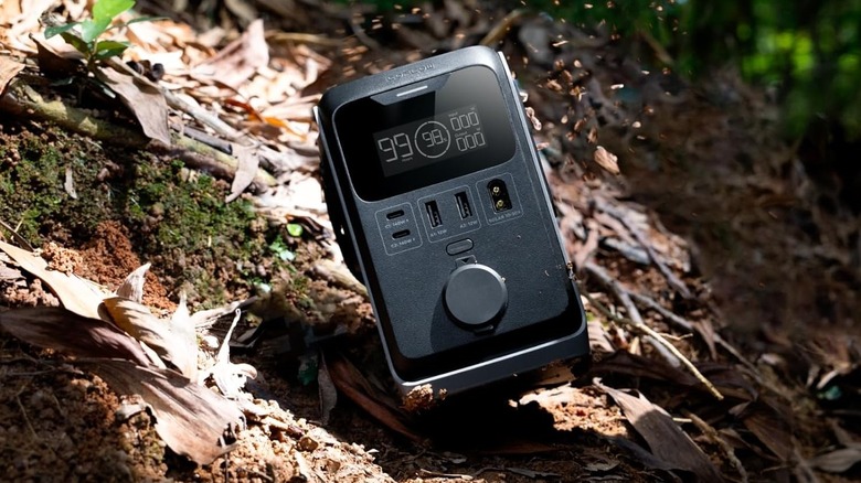 EcoFlow Trail 300 solar power station for outdoors.