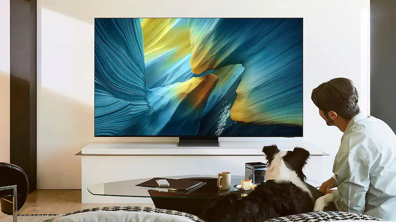 A man and a dog watching a Samsung S95F OLED in a modern living room.
