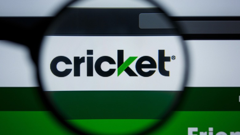 Cricket Wireless logo viewed through a magnifying glass on a screen.