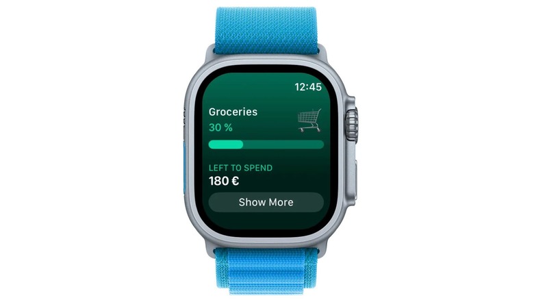 An image of MoneyCoach app running on an Apple Watch.