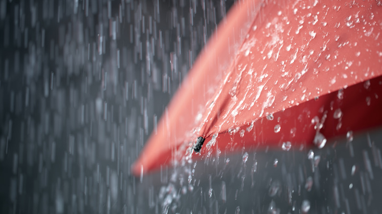 red umbrella getting rained on with water falling off