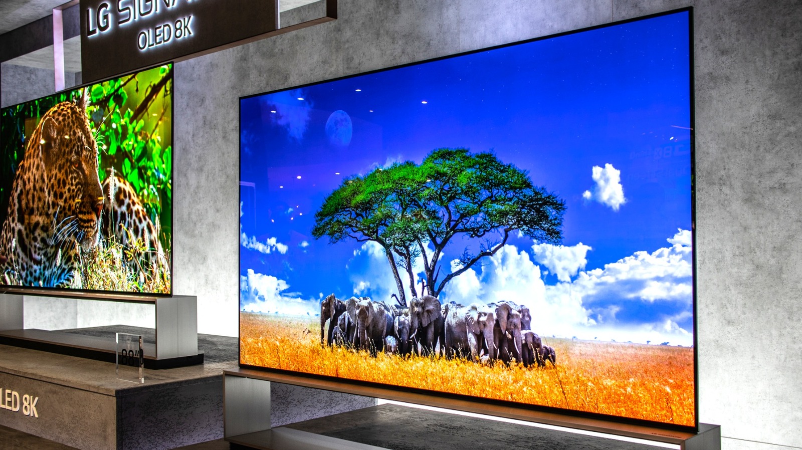 Самые яркие OLED-дисплеи 2025 года: рейтинг и технологии