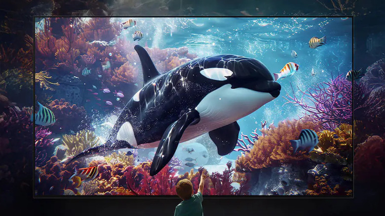A little boy is bewildered by the image of an orca and coral on a wall-mounted LG G6 Series OLED TV.