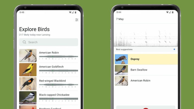 A pair of Merlin Bird ID screenshots showing the app features
