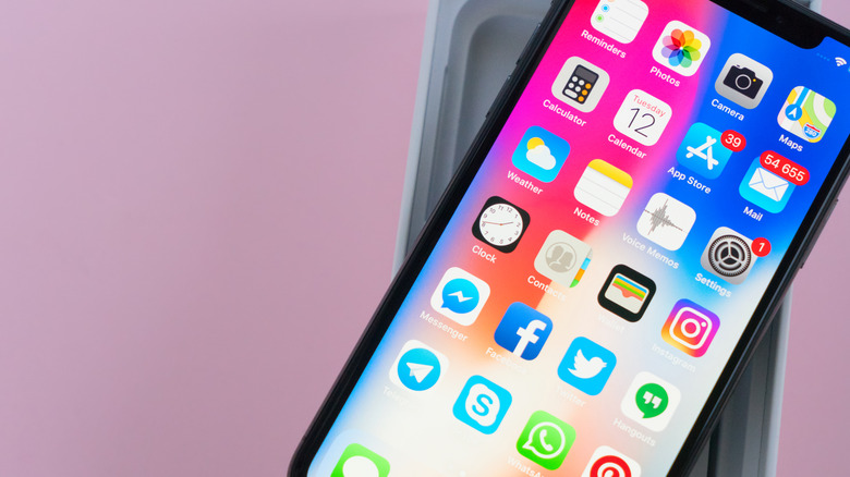 The home screen on an iPhone X