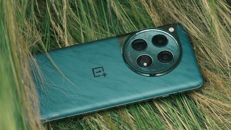 OnePlus 12 laying in grass showing rear logo and camera bump