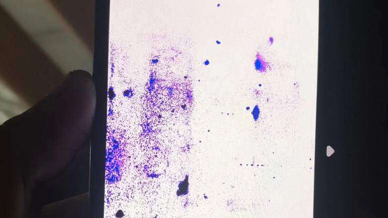 A phone with a white screen showing purple areas of OLED rot