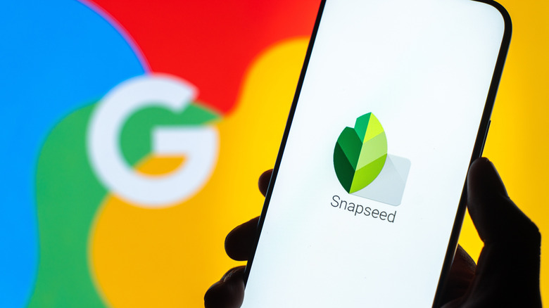 Snapseed logo displayed on the screen of a smartphone