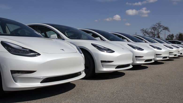 Several similar-looking Tesla EVs are parked side-by-side.