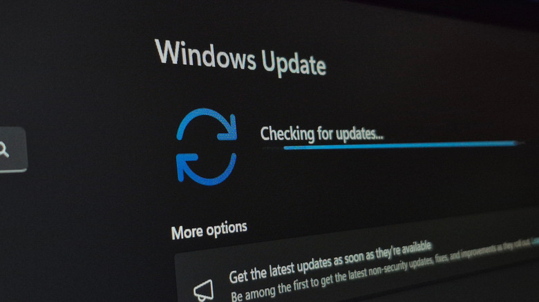 Windows Update screen showing the system checking for updates