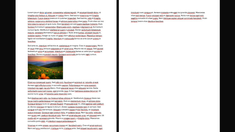 Screenshot of a two-page document opened in Microsoft Word showing text paragraphs broken up by a stock image