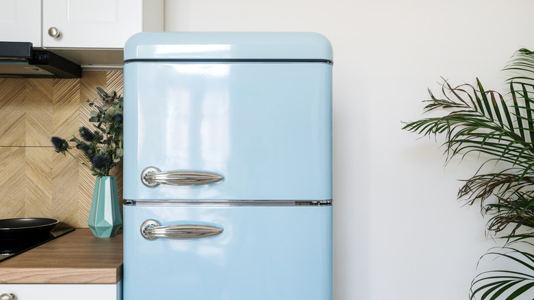 A close-up on a blue old fashioned fridge in a kitchen area with houseplant visible in the foreground