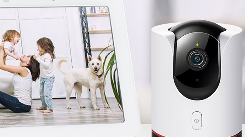 The TP-Link TC73 Pan/Tilt Camera set up next to a smart display.