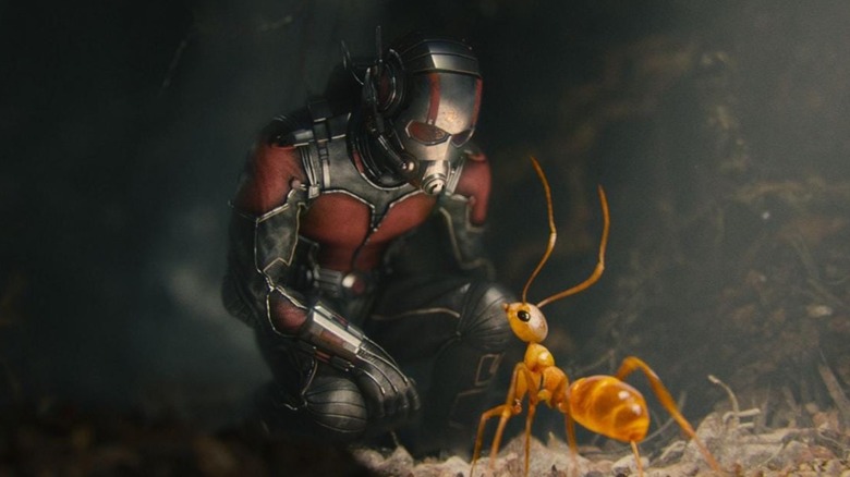 Ant-Man talking to an ant