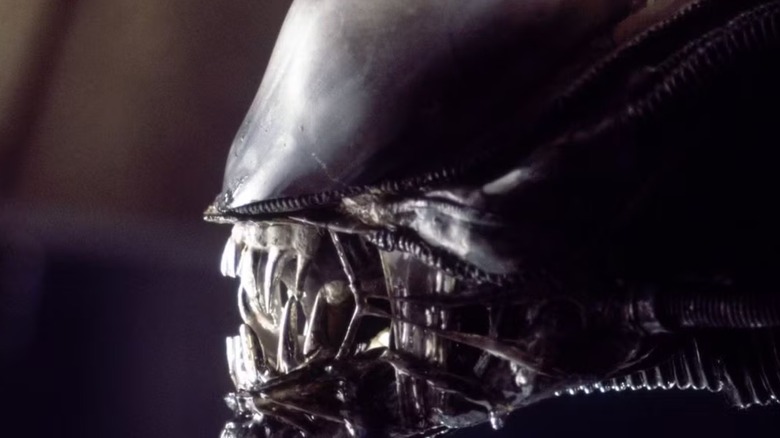 Xenomorph drooling in Alien
