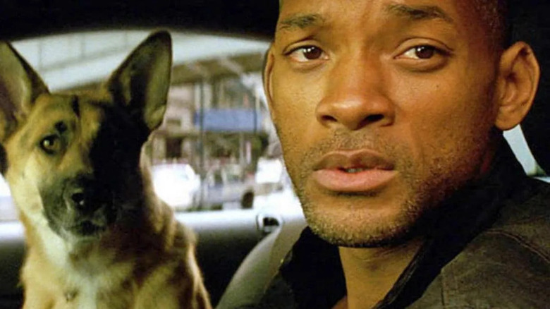 Robert Neville and his Sam in the car, looking at something