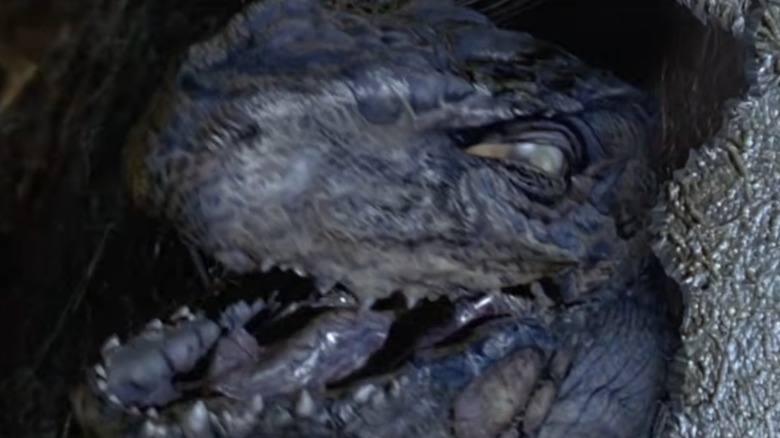 Baby Godzilla roaring