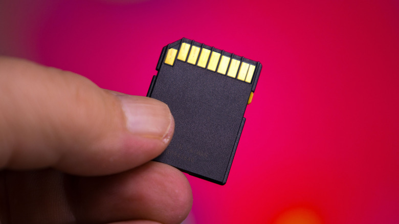 Person holding an SD Card on a red background