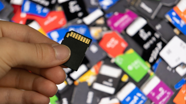 Person holding an SD card above a dozens of random SD cards