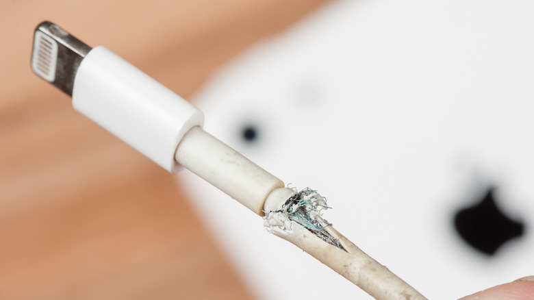 An Apple charger with frayed wiring