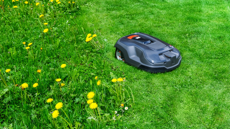 Mowing robot working near a flower bed