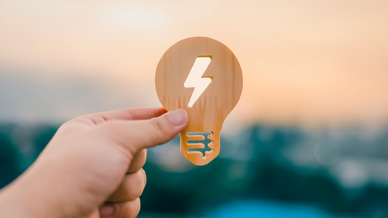 An individual holding a wooden cutout of a lightbulb with a lighting bolt in the center in their left hand, the background is blurred heavily