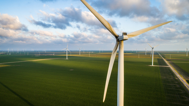 Wind turbines along the Gulf Coast in Texas.