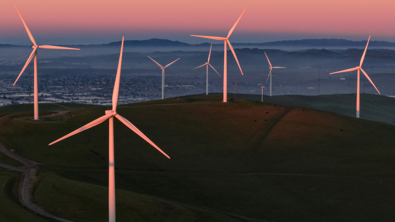 Wind turbines at Altamont Pass in California.
