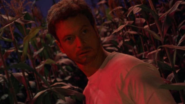 Garry Sinise as Stu Redman in a cornfield looking concerned in The Stand