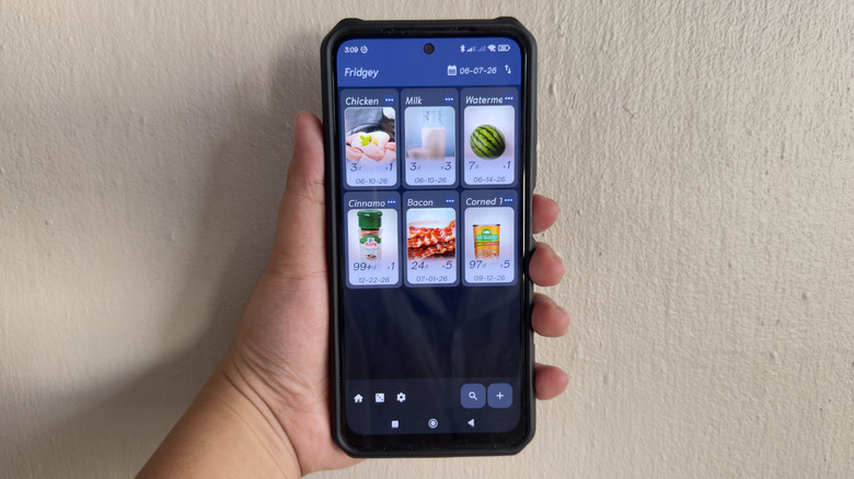 Hand holding Android phone showing Fridgey app
