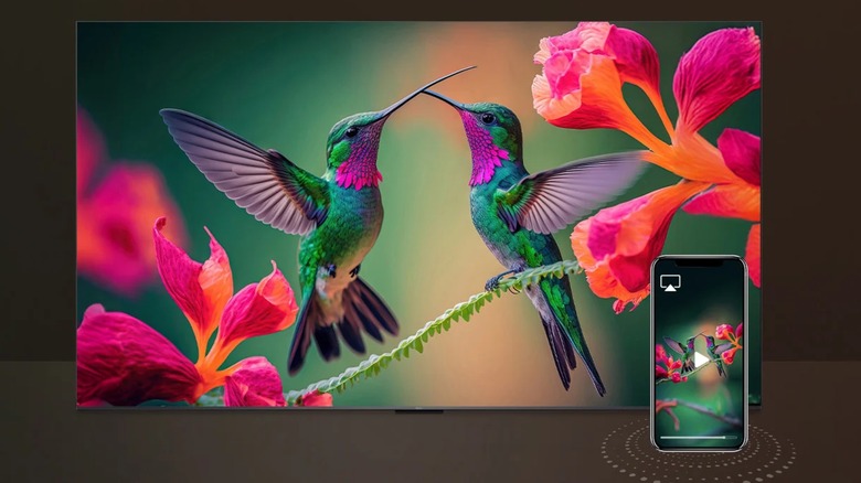 A TCL TV with two colorful hummingbirds has a smartphone next to it