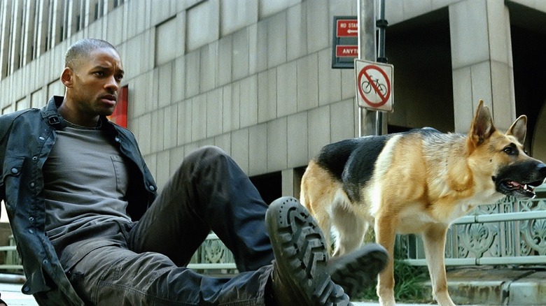 Will Smith as Robert Neville with Sam the dog in I Am Legend