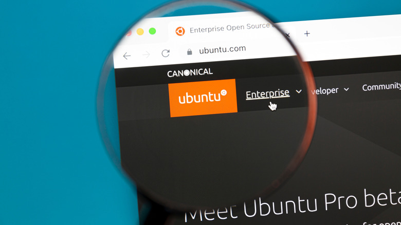 Close up of Ubuntu name and logo on a website.
