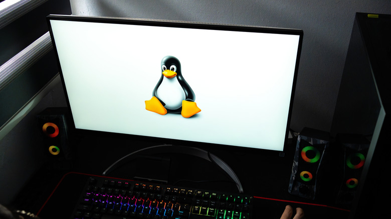 Official Linux penguin mascot on a computer monitor.