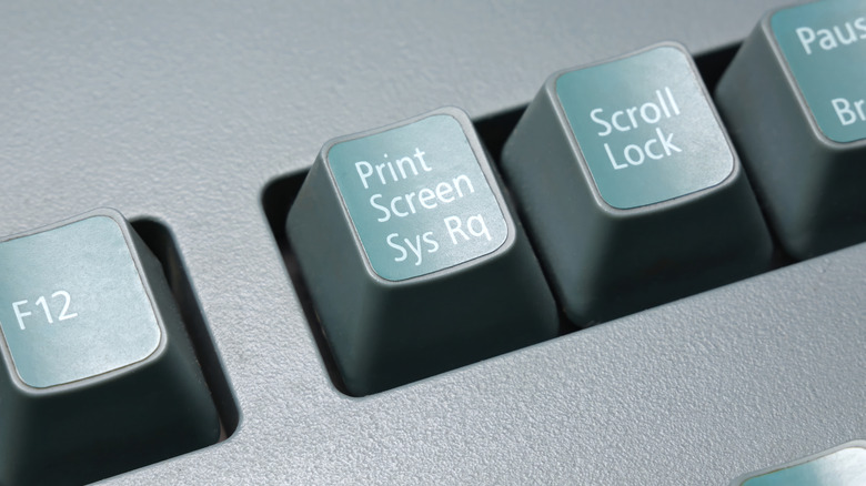 The Print Screen key on a keyboard.