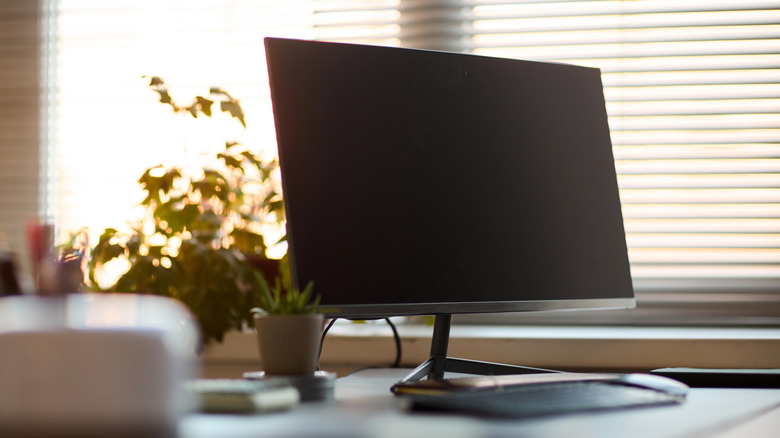 A computer monitor standing on an office desk near a keyboard and a mouse with potted plant and blurred window blinds in background