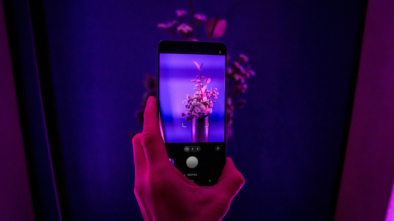 person holding an android smartphone with the camera app running to capture a picture of a flower pot
