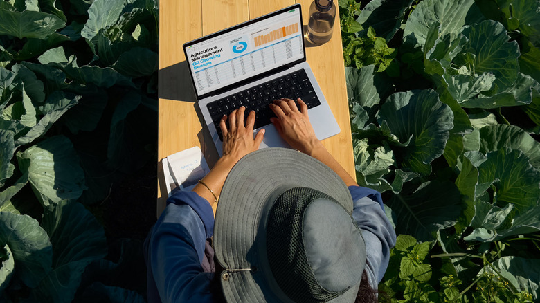 Bird's eye view of someone using a MacBook Pro at an outdoor table surrounded by plants