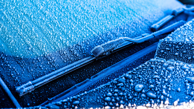 A car windshield covered in frost.