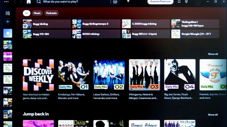 Spotify user interface showing different playlists