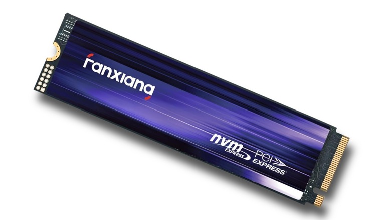 Fanxiang S880ER 1TB M.2 SSD on a white background