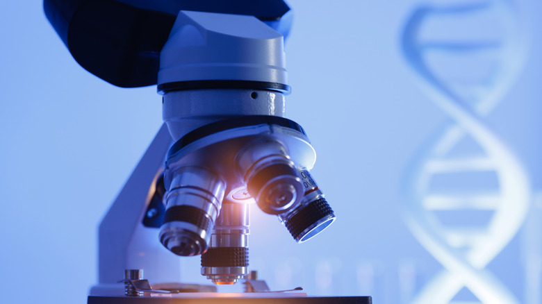 Microscope looking at genes.