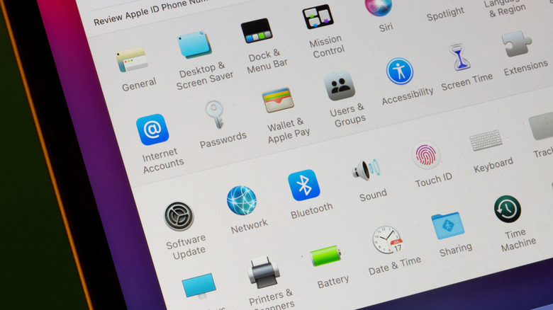 The Settings app on an older Mac model.