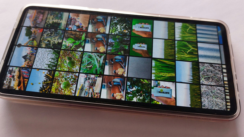 Smartphone screen displaying a grid of photo thumbnails in a gallery app.