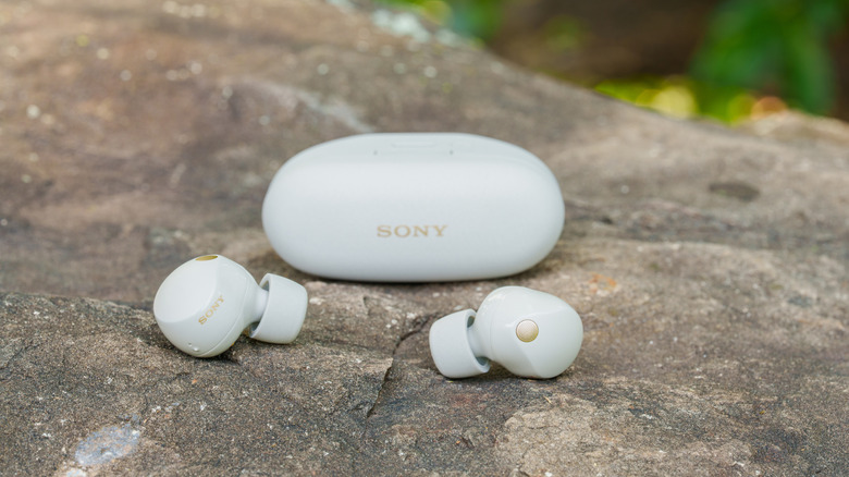 The Sony WF-1000XM5 buds and case on a rocky surface.