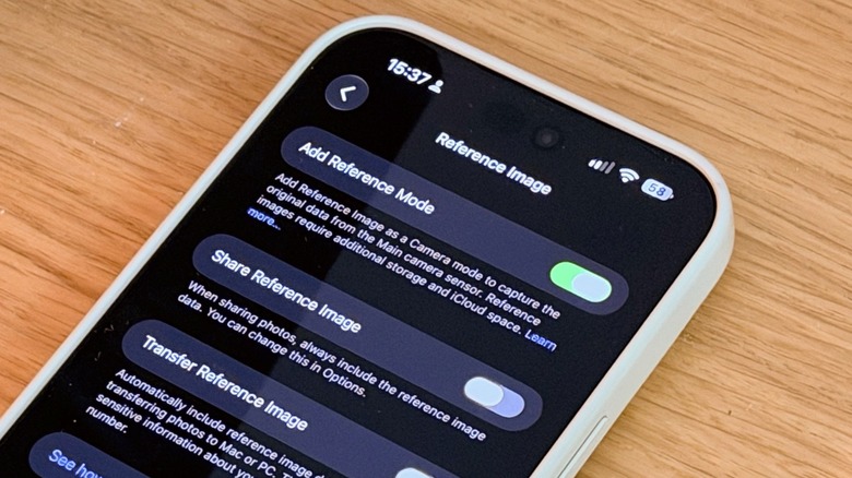 Close-up shot of Apple Reference Image settings