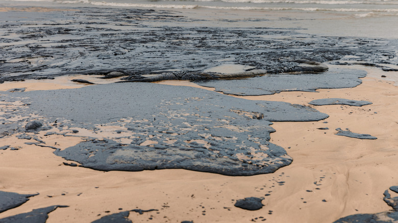 A beach shoreline covered in thick black oil.