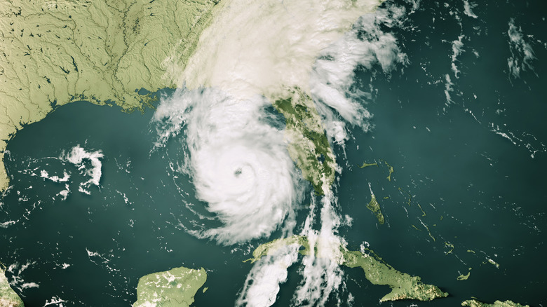 A satellite view of a large tropical cyclone or hurricane.