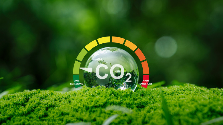 Graphical dial of CO2 level on carpet of moss